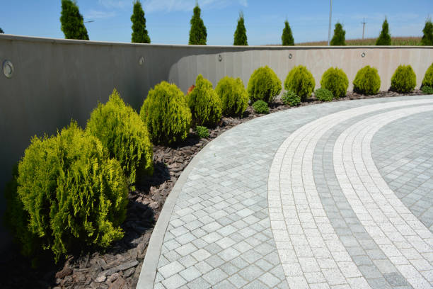  Millsboro, DE Driveway Pavers Pros