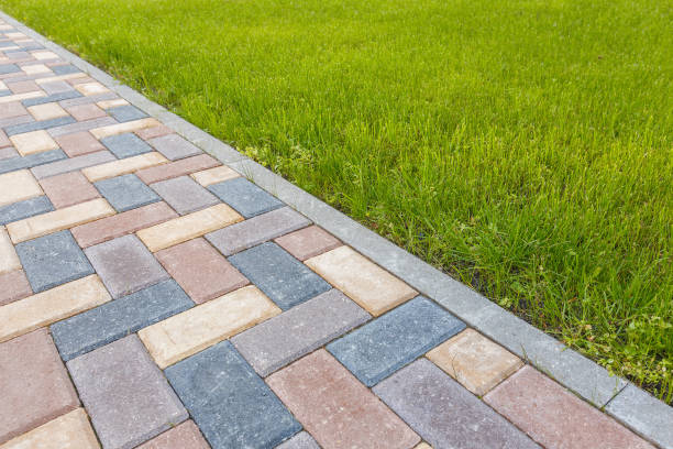 Best Custom Driveway Pavers  in Millsboro, DE
